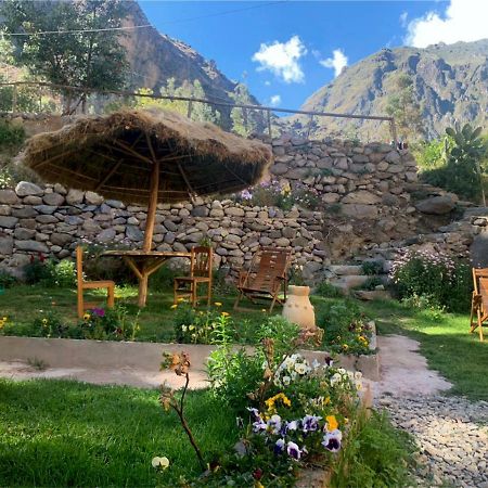 Inka Khawarina Tambo Lodge Ollantaytambo Bagian luar foto