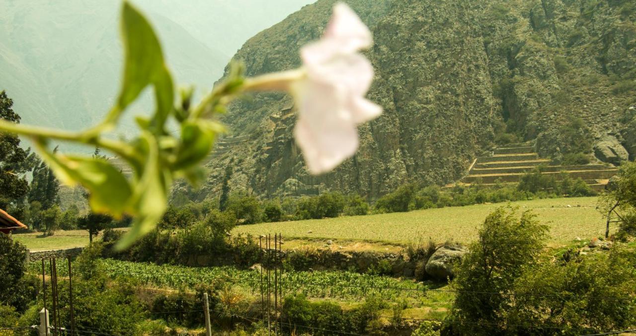 Inka Khawarina Tambo Lodge Ollantaytambo Bagian luar foto